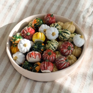 May include: A bowl filled with miniature gourds and pumpkins in various colors, including white, green, red, orange, and yellow. The gourds and pumpkins are arranged in a random pattern and have a variety of shapes and sizes.