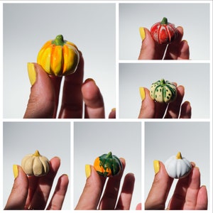 May include: A set of ten miniature ceramic pumpkins in various colors and patterns. The pumpkins are painted with green, yellow, red, and white accents.