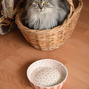 May include: A fluffy gray cat sits inside a wicker basket. A white ceramic bowl with a pink heart pattern sits on a wood floor.
