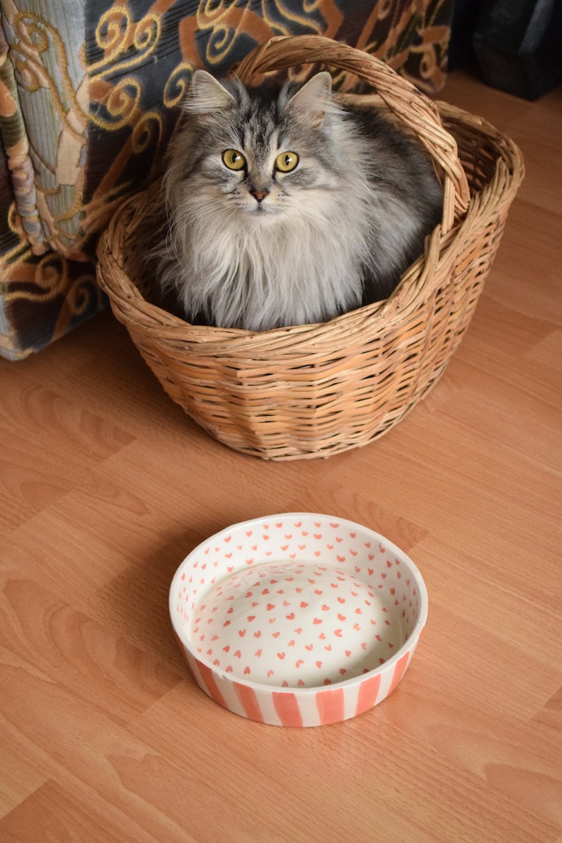 May include: A fluffy gray cat sits inside a wicker basket. A white ceramic bowl with a pink heart pattern sits on a wood floor.
