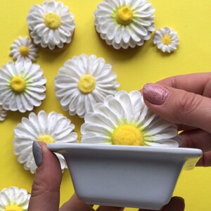 May include: A white ceramic dish with a square shape and rounded edges. The dish is filled with white daisy-shaped cookies with yellow centers. The cookies are arranged in a circle around the dish.