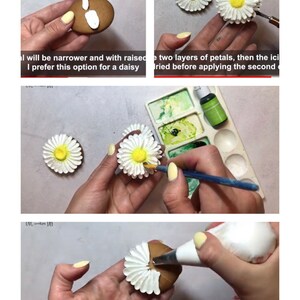 May include: A step-by-step guide on how to create a daisy flower using white icing on a brown cookie. The image shows the process of piping the petals, adding a yellow center, and painting the flower with green watercolor.