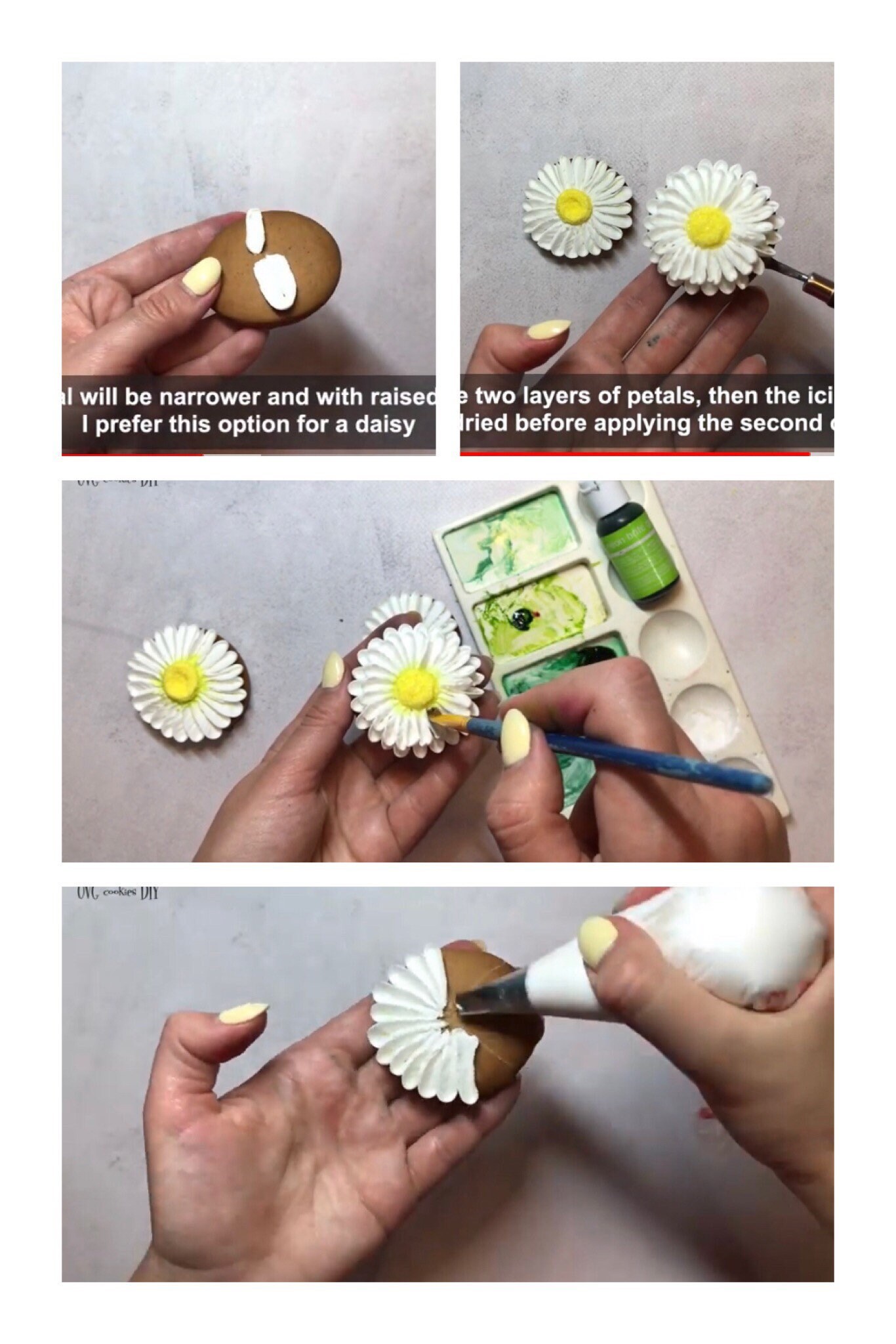 Cookie class 3 in 1 How to pipe Daisy Poppy Cornflower Etsy