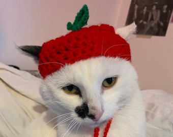 Apple Crochet Hat for cat or small dog (cat accessories, small animal accessories, pet hat costume, cat hat, cat gifts, knitted, yarn)