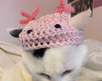 Axolotl Crochet Hat for cat or small dog (cat accessories, small animal accessories, pet hat costume, cat hat, cat gifts, knitted, yarn)