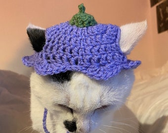 Flower Hat Crochet Hat for cat or small dog (cat accessories, small animal accessories, pet hat costume, cat hat, cat gifts, knitted, yarn)