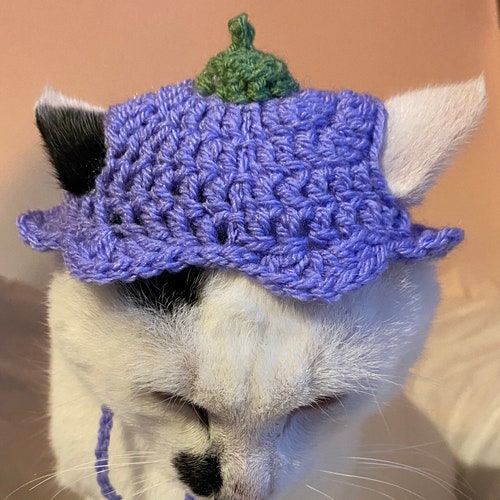 Flower Hat Crochet Hat for Cat or Small 