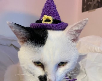 Witch Hat Crochet Hat for cat or small dog (cat accessories, small animal accessories, pet hat costume, cat hat, cat gifts, knitted, yarn)