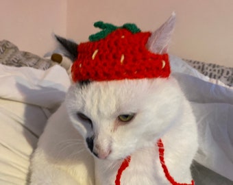 May include: A white cat with black markings wearing a red and green crocheted strawberry hat. The cat is sitting on a white bed.