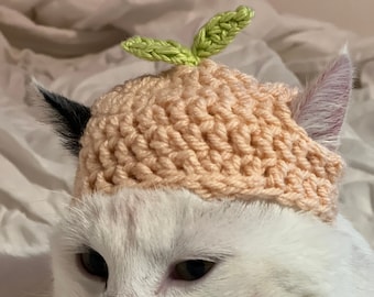 Peach Crochet Hat for cat or small dog (cat accessories, small animal accessories, pet hat costume, cat hat, cat gifts, knitted, yarn)