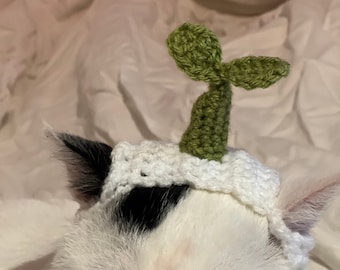 Plant Crochet Hat for cat or small dog (cat accessories, small animal accessories, pet hat costume, cat hat, cat gifts, knitted, yarn)