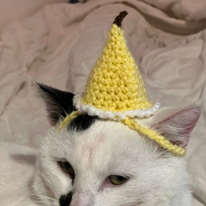 Banana Crochet Hat for cat or small dog (cat accessories, small animal accessories, pet hat costume, cat hat, cat gifts, knitted, yarn)