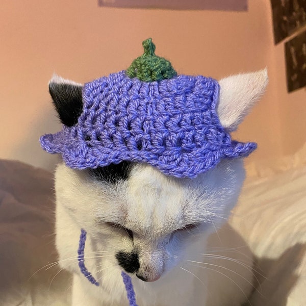 Flower Hat Crochet Hat for cat or small dog (cat accessories, small animal accessories, pet hat costume, cat hat, cat gifts, knitted, yarn)