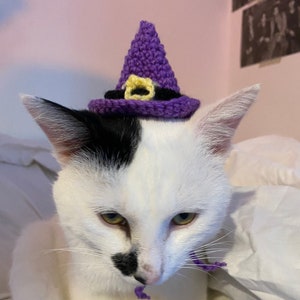 Witch Hat Crochet Hat for cat or small dog (cat accessories, small animal accessories, pet hat costume, cat hat, cat gifts, knitted, yarn)