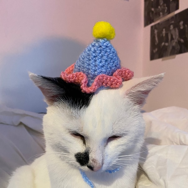 Party Hat Crochet Hat for cat or small dog (cat accessories, small animal accessories, pet hat costume, cat hat, cat gifts, knitted)