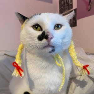 Hair Wig Hat Crochet Hat for cat or small dog (cat accessories, small animal accessories, pet hat costume, cat hat, cat gifts, knitted)