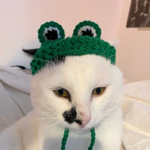 Frog Crochet Hat for cat or small dog (cat accessories, small animal accessories, pet hat costume, cat hat, cat gifts, knitted, yarn)