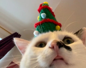 May include: A white cat with black markings wearing a green and red knitted Christmas tree hat.