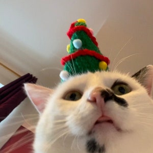 猫または小型犬用のクリスマスツリーかぎ針編み帽子（猫アクセサリー、小動物アクセサリー、ペット帽子コスチューム、猫帽子、猫ギフト、ニット）