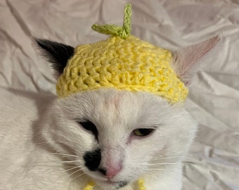 Lemon Häkelmütze für Katze oder kleinen Hund (Katzenzubehör, Kleintierzubehör, Haustierhut Kostüm, Katzenmütze, Katzengeschenke, gestrickt, Garn)