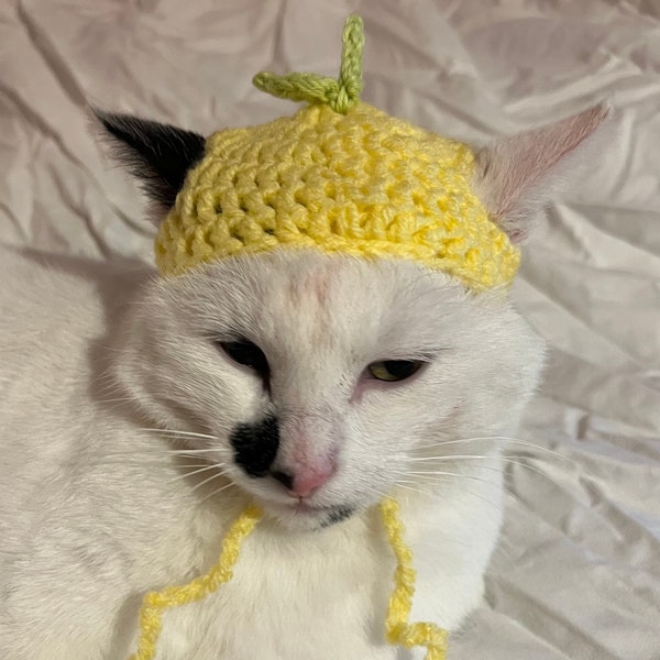 Lemon Crochet Hat for cat or small dog (cat accessories, small animal accessories, pet hat costume, cat hat, cat gifts, knitted, yarn)