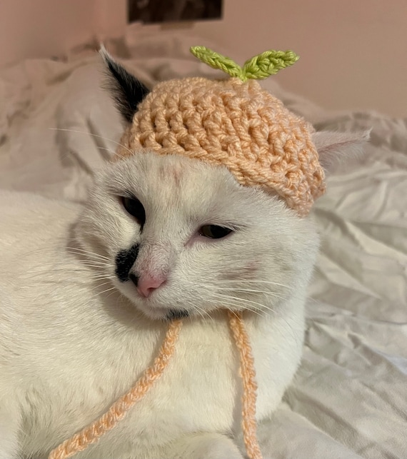 Chapeau au crochet pêche pour chat ou petit chien accessoires pour chat,  accessoires pour petit animal, costume de chapeau pour animal de compagnie,  chapeau de chat, cadeaux pour chat, tricot, fil 