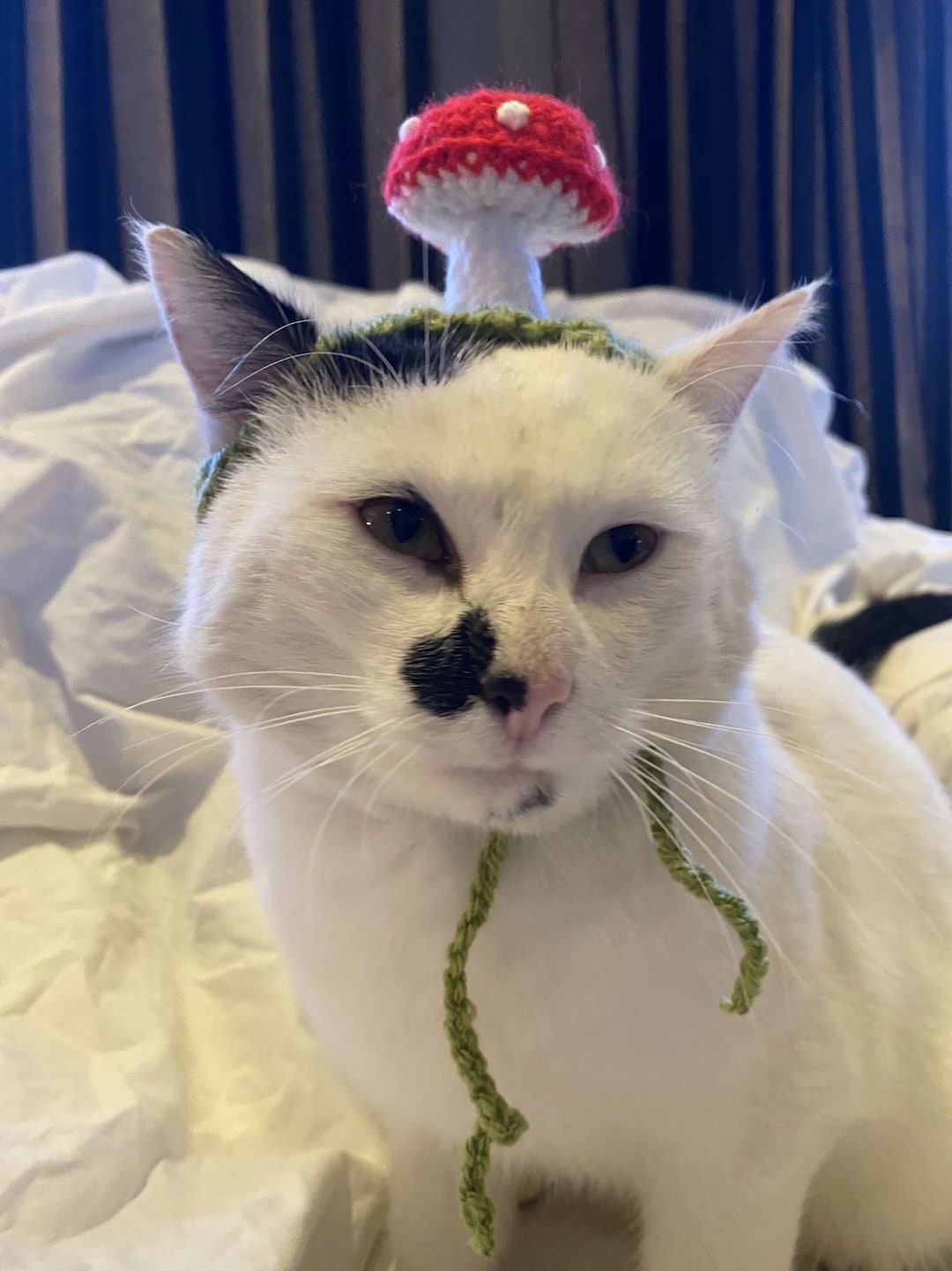 Mushroom Crochet Hat for Cat or Small Dog (cat Accessories, Small