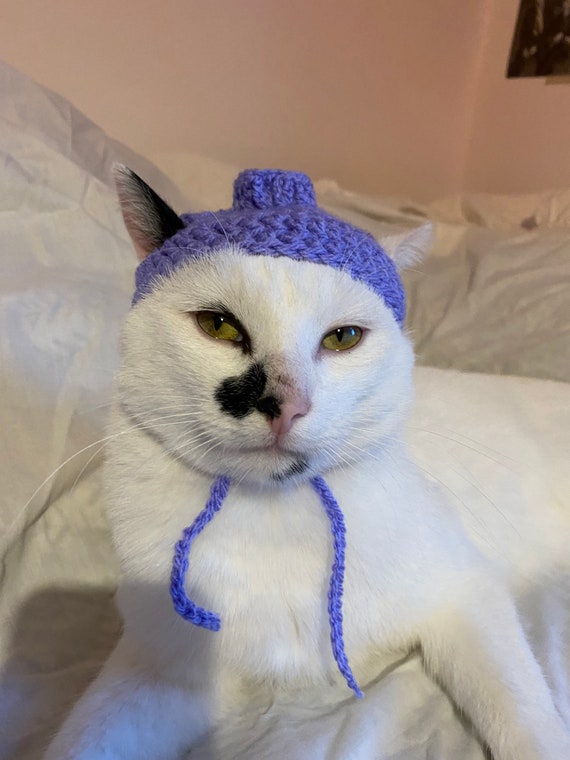 Blueberry Crochet Hat for Cat or Small Dog (cat Accessories, Small