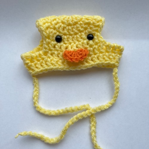 Flower Hat Crochet Hat for Cat or Small Dog Crochet Eggplant Etsy