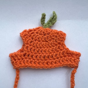 Orange Crochet Hat for cat or small dog (cat accessories, small animal accessories, pet hat costume, cat hat, cat gifts, knitted, yarn)