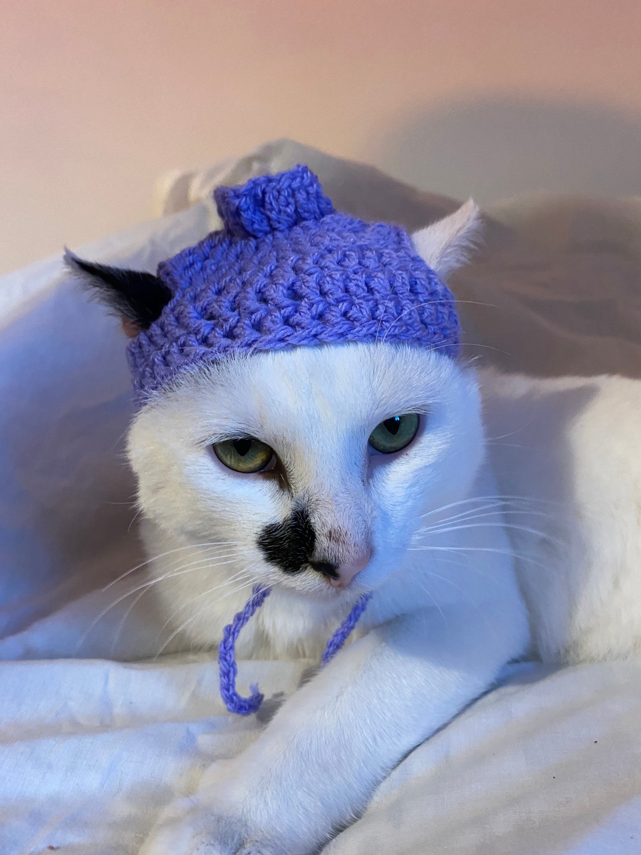 Blueberry Crochet Hat for Cat or Small Dog (cat Accessories, Small