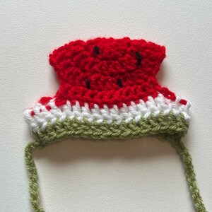 Watermelon Crochet Hat for cat or small dog (cat accessories, small animal accessories, pet hat costume, cat hat, cat gifts, knitted, yarn)