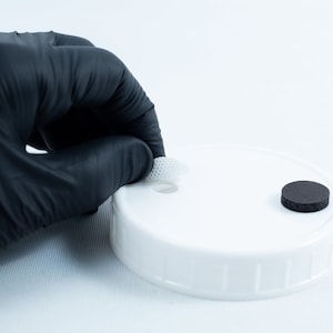 May include: A white plastic lid with a small hole in the center. A gloved hand is holding a white filter over the hole. A black round filter is on the lid.