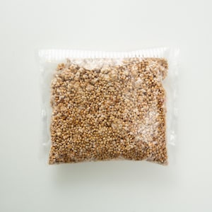 GRAIN SPAWN 100g mycelium mushroom Culture- Multiple species.