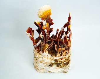 Native Australian Reishi | Ganoderma  | Forms Antlers | Mushroom Grow Kit- Spray and Grow - 3kg