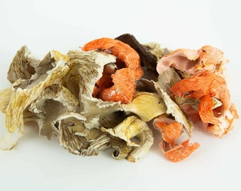 Dehydrated mixed Oyster Mushroom (Whole or powder) Australian grown