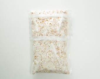 GRAIN SPAWN 300g mycelium mushroom Culture- Multiple species.
