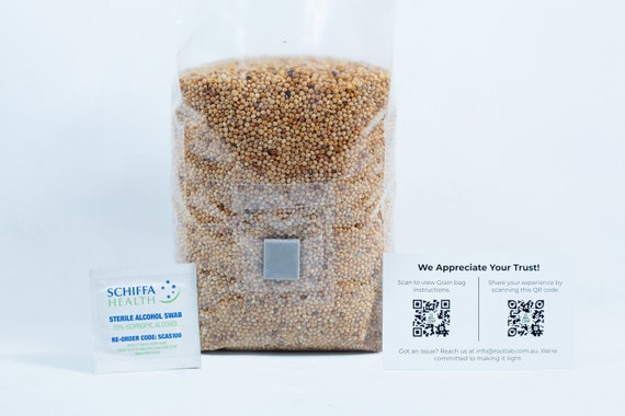 Organic Sterilized Grain Bag | Best Sterilized Spawn Bag For Mushroom Cultivation – North Spore