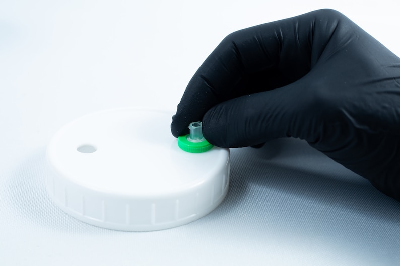 May include: A white plastic lid with a green ring and a small clear tube. A gloved hand is holding the tube.