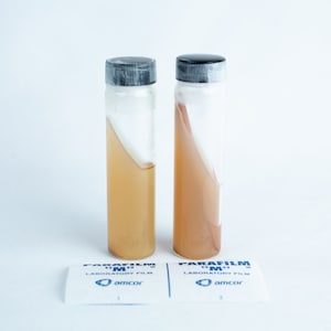 May include: Two clear glass bottles containing brown liquid with white caps. The bottles are labelled "Parafilm "M" Laboratory Film" with the Amcor logo.
