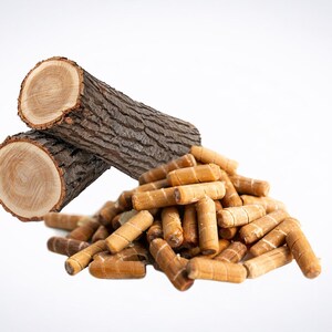 May include: Two cylindrical logs with rough, dark brown bark and light tan, circular cross-sections are positioned above a pile of small, light brown, cylindrical wooden pellets that feature a textured, grooved surface pattern throughout.