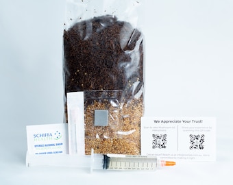 Mushroom Growing Kit to Grow mushrooms at home | Mushroom Kit Australia | Beginner friendly | Educational