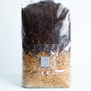 Master's Mix All in One 1kg bag