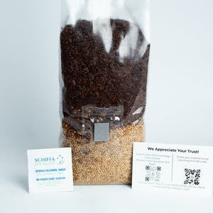All in One Master's Mix Substrate + Millet 1kg bag + Instruction | Mushroom Grow Bag | Beginner friendly