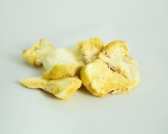 Freeze Dried Lions Mane Mushroom (Whole or powder)