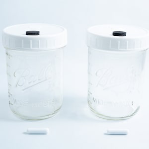 2x 473ml Mason jar for Liquid culture & PF TEK with injection port and air filter vent