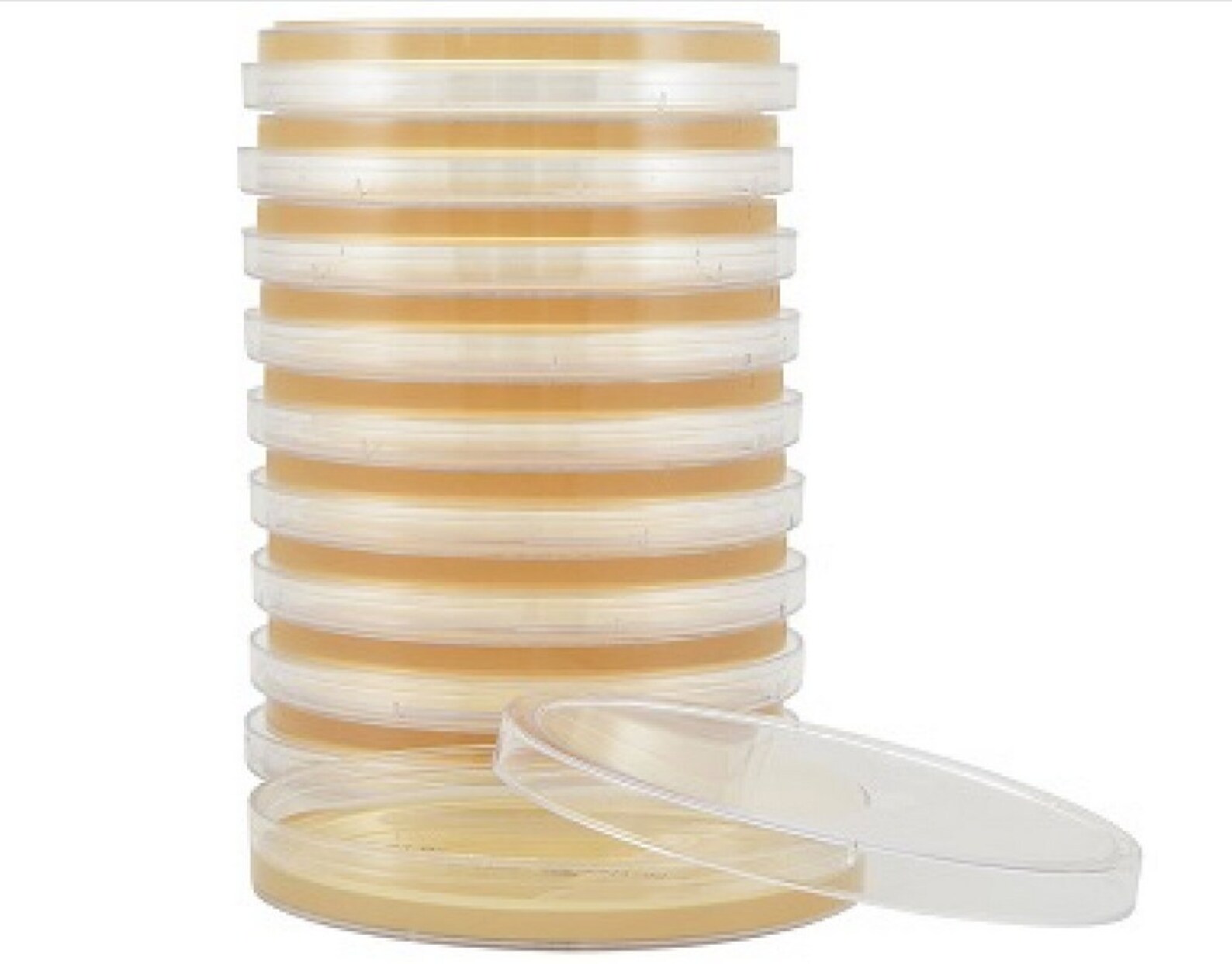 Antibacterial Malt Extract Agar