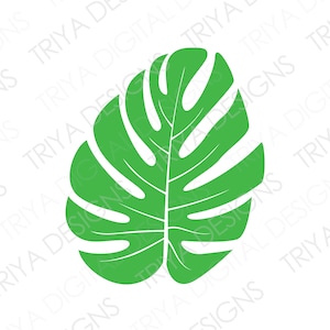 Tropical Leaf SVG Cut File | Monstera Leaf Clipart | PNG Print File | Digital DOWNLOAD