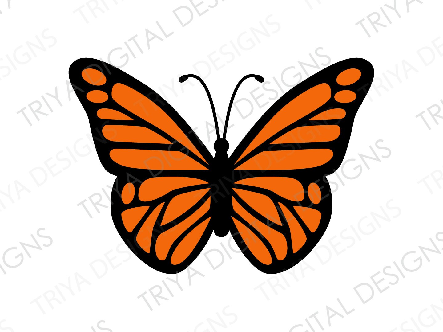 Butterfly Outline SVG Cut File, Butterfly Stencil Svg, Butterflies Svg, Monarch Butterfly Svg