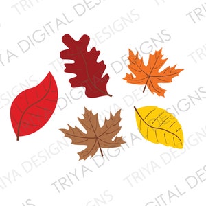 Fall Leaves SVG | Autumn Colored Falling Leaves | Fall leaf, Red, Orange, Brown Fall Colors | Windy Leaves, Maple Leaf, Digital DOWNLOAD